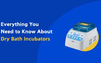Everything You Need to Know About Dry Bath Incubators: A Comprehensive Guide