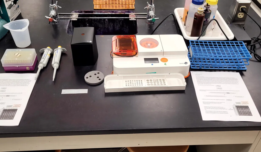 How PCR Machines Work Step by Step