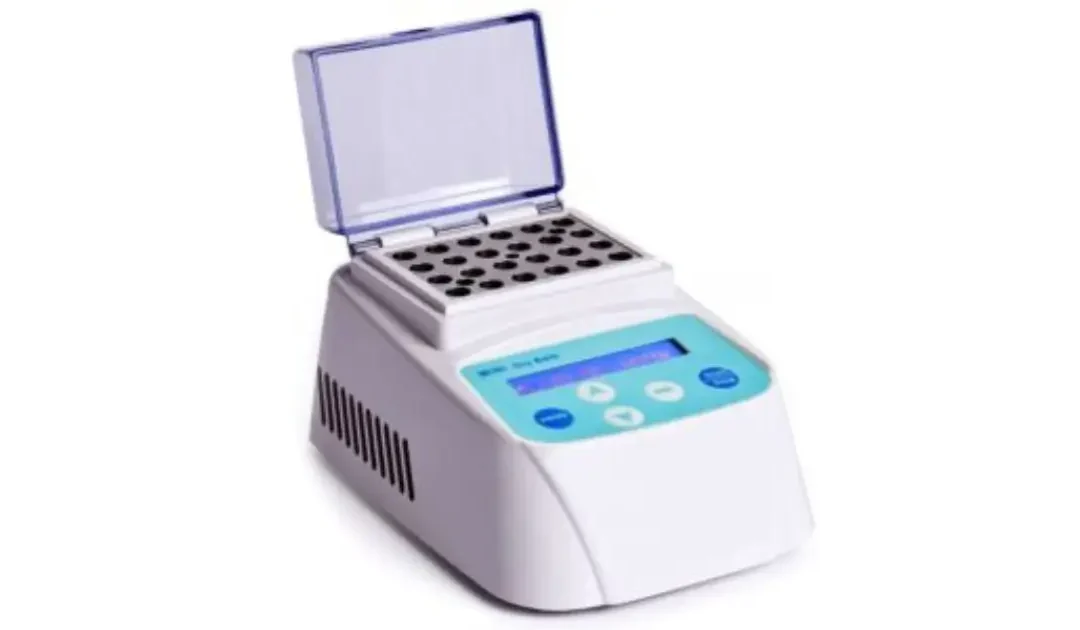 How to Select the Right Incubator for Experiments – Lab Equipment Guide