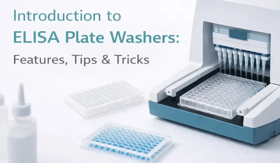 Microplate Washer Use In ELISA Testing: A Complete Guide.