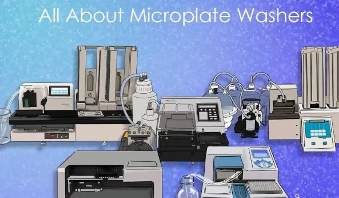 Microplate Washer Buying Guide: What Labs Should Check Before Purchasing