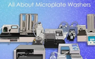 Microplate Washer Buying Guide: What Labs Should Check Before Purchasing