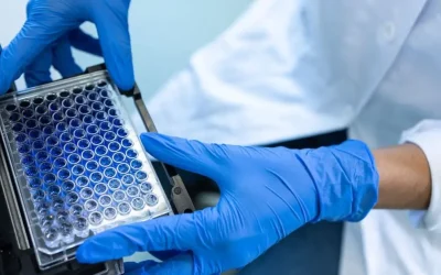 Microplate Reader For Laboratories: A Complete Guide